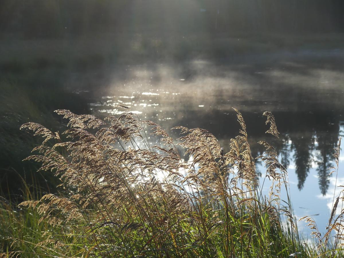 Schott'S Lake Conference & Resort Sundre Εξωτερικό φωτογραφία
