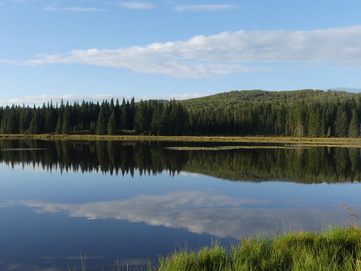 Schott'S Lake Conference & Resort Sundre Εξωτερικό φωτογραφία